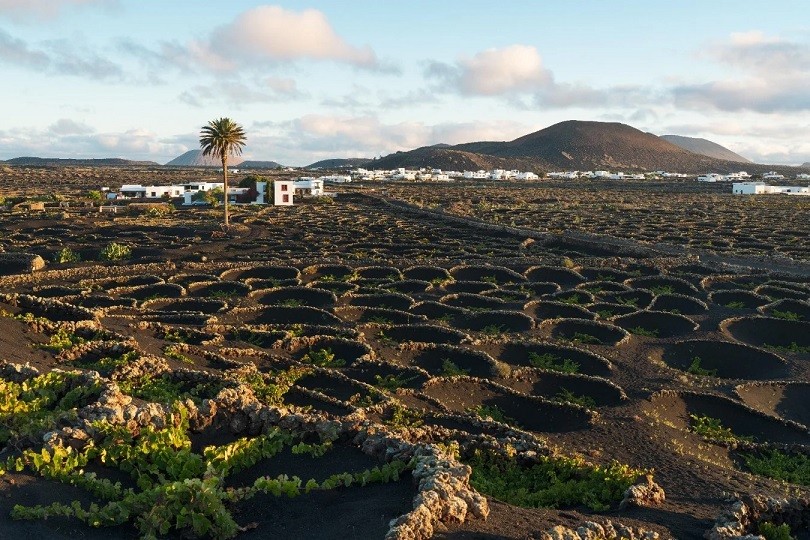 lanzarote 2